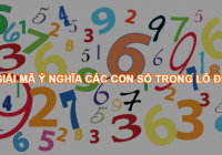 Ý nghĩa của những con số đề