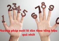 Chia sẻ một vài bí quyết chơi lô dàn hiệu quả và chính xác nhất