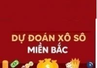 Dự đoán xổ số mb 12/11/2025 siêu chuẩn xác hôm nay